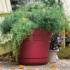 Saturn round Planter with Saucer Tray: 12" - Burnt Red - Durable Plastic Pot, Matte Finish, Removable Saucer, for Indoor & Outdoor Use, Gardening, 3 Gallon Capacity - Image 6