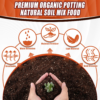 Potting Soil Mix - 3QT Soil for Indoor Plants, All Natural and Organic Plant Soil for Seed Starting, Loose and Breathable Garden Soil for Spices, Herbs & Vegetables - Image 3