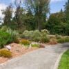 Peach Country Premium Cedar Chips (2 Cu. Ft.) - Cedar Mulch for Landscaping Areas, Home Gardens, Potted Plants and More. a Natural Way to Help Increase Curb Appeal and Reduce Bugs around Your Home. - Image 5