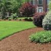 Peach Country Premium Cedar Chips (2 Cu. Ft.) - Cedar Mulch for Landscaping Areas, Home Gardens, Potted Plants and More. a Natural Way to Help Increase Curb Appeal and Reduce Bugs around Your Home. - Image 4