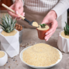 Fine Silica Sand - 10LB - Sand for Plants - Horticultural Sand - Potting Sand Bonsai Cactus & Garden Sand Grit - Terrarium and Plant Sand Soil - Gardening Landscape Sharp Rocks and Grit Fireproof - Image 4