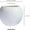 Signature Mount Sherman 1-Piece Fiberstone Planter for Indoor/Outdoor, White, 10" H X 13" Dia (8" Opening) - Small - Image 3