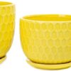 Yellow Ceramic Flower Pots with Saucers, Modern round Ceramic Succulent Plant Pots with Honeycomb Inspired Texture Design, Small to Medium Sized, Set of 3 - Image 5