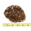 Bird of Paradise Potting Soil Mix (8 Quarts), All Natural Mix for Indoor/Outdoor Container Tropical Plants - Image 6