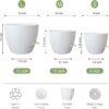 Large Self Watering Pots, 12/10/9 Plastic Planters with High Drainage Holes and Deep Reservoir for Indoor Outdoor Garden Plants and Flowers, White - Image 3