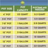 Fern Plant Potting Soil Mix (4 Quarts), Custom Hand Blended Mixture for Indoor/Outdoor Container Gardening - Image 7