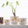 Plant Pots,Set of 3 Ceramic Flower Pots for Indoor Plants,4+5+6 Inch Planter with Drainage Hole Saucer,Garden Pots Catus Planters (Sunflower Set of 3) - Image 5