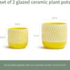 Ceramic Plant Pots, 6 + 4.7 Inch Yellow Plant Pot, Flower Pots for Indoor Plants， Planter with Drainage Hole for Succulent Orchid Snake Plants Cactus - Image 3