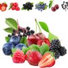 1100Pcs Mixed Fruit Seeds Berry Seeds for Planting 200Pcs Strawberry 200Pcs Raspberry 200Pcs Mulberry 200Pcs Blueberry 200Pcs Elderberry 10Pcs Cherry - Individually Packaged