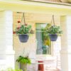 5-Pack 10 Inch Plastic Planters, round Flower Pots with Drainage Holes, Thick Sturdy Traditional Garden Pots Indoor and Outdoor(Dark Gray) - Image 5