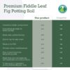 Fiddle Leaf Fig Potting Soil Mix by Fiddle Leaf Fig Plant Resource | Premium Organic Soil with Enhanced Drainage for Fast Growth and Healthy Roots (Large Bag) - Image 7