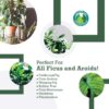 Fiddle Leaf Fig Potting Soil Mix by Fiddle Leaf Fig Plant Resource | Premium Organic Soil with Enhanced Drainage for Fast Growth and Healthy Roots (Large Bag) - Image 8