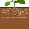 Brut Super Soil Potting Mix – 21 Quarts – Rich, Dark All-Purpose Soil – Convenient, Ready to Use Right from the Bag.– Healthy and Natural - Image 5