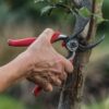 BP 7100D Forged Steel Dualcut Bypass Hand Pruner-1 Inch Cut Capacity Stem and Branch Garden Shears, 1 In, Red - Image 2