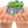 Succulent Pots, 4 Inch Ceramic Plant Pots and Drainage Hole with Bamboo Tray, Colorful Flower Planter Pot, Pack of 6 (Plants Not Included) - Image 5