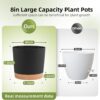 Plant Pots Set of 2 Pack 8 Inch,Planters for Indoor Plants with Drainage Holes and Removable Base,Saucer Modern Decorative for Outdoor Garden Planters(Dark Grey 8In) - Image 2