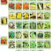 Set of 43 Assorted Vegetable & Herb Seed Packets - over 10,000 Seeds! - Includes Mylar Storage Bag - Deluxe Garden Heirloom Seeds - 100% Non-Gmo - Image 3
