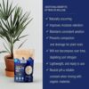 Enhanced Perlite Mix with Diatomaceous Earth & Essential Nutrients – a Soil Amendment That Promotes Robust Growth for Plants, Transplanting, Garden Beds & Seedlings (16 QT) - Image 7