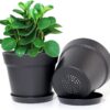 16 Pack 6 Inch Plastic Planters for Indoor Flower Pots, Heavy Duty and Stylish 6 Inch Plant Pots for Indoor Plants with Drainage Holes and Tray for Plants, Flowers, Black - Image 2