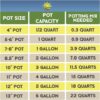 Cactus and Succulent Potting Mix (8 Quarts), Special Blend-Fast Draining and Desert-Style Gritty - Image 7