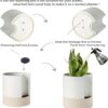 Self Watering Plant Pot: 8 Inch Ceramic Planter with Drainage Hole & Water Storage plus for Indoor & Outdoor Plants - Cylinder round Flower Pot for Succulent/Herbs/Violets - White & Brown - Image 4