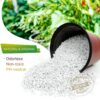 Organic Perlite for All Plants, All Natural Horticultural Soil Additive Conditioner Mix, Improve Drainage and Ventilation, Help Root Growth (2 Quarts) - Image 3