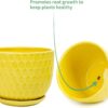 Yellow Ceramic Flower Pots with Saucers, Modern round Ceramic Succulent Plant Pots with Honeycomb Inspired Texture Design, Small to Medium Sized, Set of 3 - Image 8