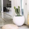 Signature Mount Sherman 1-Piece Fiberstone Planter for Indoor/Outdoor, White, 10" H X 13" Dia (8" Opening) - Small - Image 5