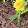 Rubberific Rubber Mulch Bagged Brown - Image 7
