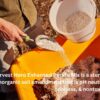 Enhanced Perlite Mix with Diatomaceous Earth & Essential Nutrients – a Soil Amendment That Promotes Robust Growth for Plants, Transplanting, Garden Beds & Seedlings (16 QT) - Image 2
