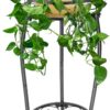 Plant Stand Indoor Tall, 2 Tier Outdoor Metal Potted Plant Stand Plant Shelf Flower Pot Stand for Multiple Planter,Rustproof Corner Plant Rack(20.3'')