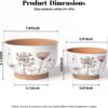 YBX 8 Inch + 6 Inch White&Terracotta Flower Pots, Succulent Ceramic Plant Pots with Drainage Holes, Terracotta Planters for Indoor Plants - Image 2