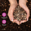 Molly'S Succulent Mix - Premium Gritty Soilless Potting Mix for Succulents, Cactus and Bonsai - Contains Akadama, Hyuga, Pinus Radiata Bark, Lava Rock, & More. 3 Dry Quarts - Image 3