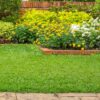 All Season 40-Lb 6500-Sq Ft 13-13-13 All-Purpose Lawn Starter Fertilizer - Image 16