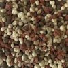 All Season 40-Lb 6500-Sq Ft 13-13-13 All-Purpose Lawn Starter Fertilizer - Image 13