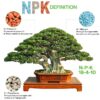 Bonsai All-Purpose Fertilizer 5Oz Bag 5-Oz All-Purpose Food - Image 3