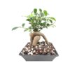Bonsai All-Purpose Fertilizer 5Oz Bag 5-Oz All-Purpose Food - Image 4