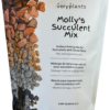 Molly'S Succulent Mix - Premium Gritty Soilless Potting Mix for Succulents, Cactus and Bonsai - Contains Akadama, Hyuga, Pinus Radiata Bark, Lava Rock, & More. 3 Dry Quarts