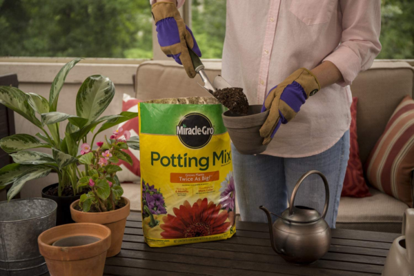 Potting Mix, 8 Qt. (2 Pack) - Image 4