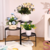 2 Pack Metal Plant Stand 3 Tier Flower Stands Rotatable Corner Plant Shelf Multiple Tall Plant Holders for outside Vertical Plant Rack for Indoor Outdoor Patio Living Room Balcony Office - Image 7