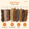 Molly'S Succulent Mix - Premium Gritty Soilless Potting Mix for Succulents, Cactus and Bonsai - Contains Akadama, Hyuga, Pinus Radiata Bark, Lava Rock, & More. 3 Dry Quarts - Image 2