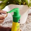 100055 Indoor Plant Food, (3) - Image 4