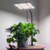 Grow Lights for Indoor Plants Full Spectrum, Table Top Plant Lights for Indoor Growing, 208PCS Leds Desk Grow Lights for Seed Starting Seedlings Vegetable, Daisy Chain, Adjustable Height - Image 6