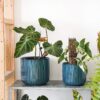 Ceramic Planters, Set of 3 Plant Pots for Indoor Plants, 8.3+6.9+5.7 Inch Flower Pots with Drainage Holes, Medium Cylinder Planters Pot for Outdoor Indoor House Plants, Reactive Glaze Blue - Image 7