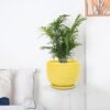 Yellow Ceramic Flower Pots with Saucers, Modern round Ceramic Succulent Plant Pots with Honeycomb Inspired Texture Design, Small to Medium Sized, Set of 3 - Image 3
