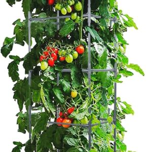 Raised Garden Bed Planter Box with Trellis, 67.6” Tomato Planters for Climbing Plants Vegetable Vine Flowers Outdoor Patio, Tomatoes Cage W/Self-Watering & Wheels