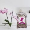 All Purpose Orchid Soil Potting Mix - Orchid Bark & Organic Perlite for Plants - All Natural Potting Soil Media Has Good Drainage for Planting or Orchid Repotting (2 Qt) - Image 3