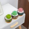 Cute Ceramic Succulent Garden Pots, Planter with Drainage and Attached Saucer, Set of 5 -Plants Not Included (Round) - Image 7