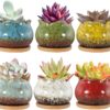 Succulent Pots, 4 Inch Ceramic Plant Pots and Drainage Hole with Bamboo Tray, Colorful Flower Planter Pot, Pack of 6 (Plants Not Included) - Image 2