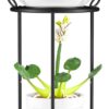 Plant Stand Indoor Outdoor - Metal Planter Holder Shelf Tall Tiered Flower Pot Display Organizer Rack for Garden, Patio, Living Room, Bathroom, Office (Black)